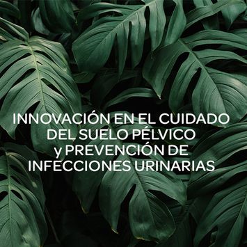 Innovación en el cuidado del suelo pélvico y prevención de infecciones urinarias