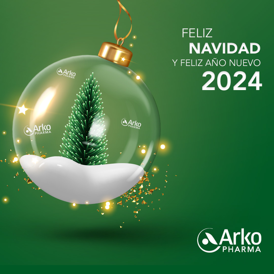 ¡Feliz Navidad & Feliz Año Nuevo 2024!