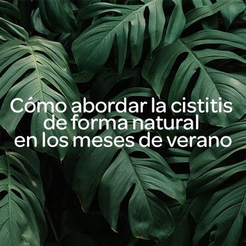 Cómo abordar la cistitis de forma natural en los meses de verano
